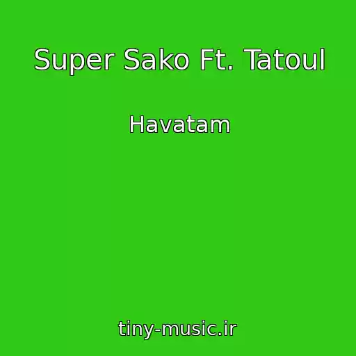 کاور آهنگ Super Sako Ft. Tatoul از Havatam