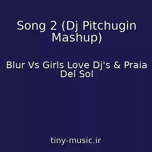 کاور آهنگ Song 2 (Dj Pitchugin Mashup) از Blur Vs Girls Love Dj's & Praia Del Sol