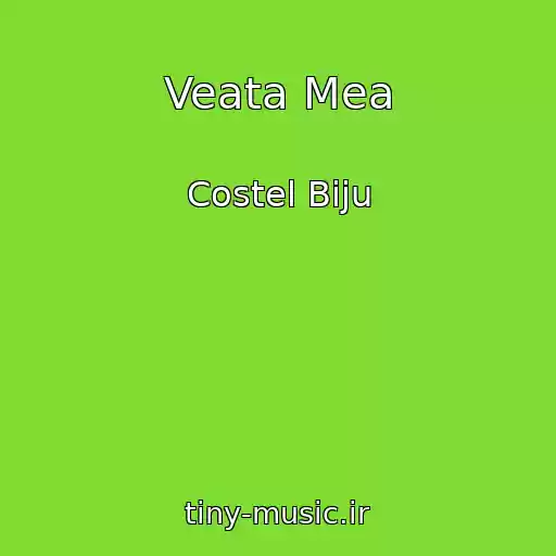 کاور آهنگ Veata Mea از Costel Biju