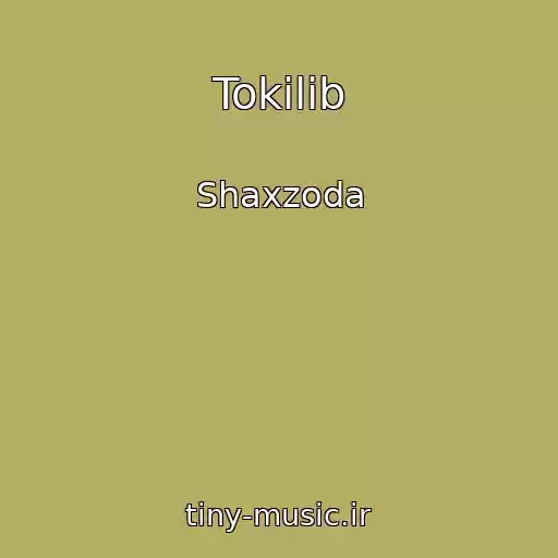 کاور آهنگ Tokilib از Shaxzoda