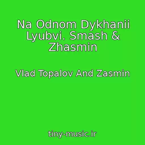 کاور آهنگ Na Odnom Dykhanii Lyubvi. Smash & Zhasmin از Vlad Topalov And Zasmin