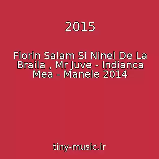 کاور آهنگ 2015 از Florin Salam Si Ninel De La Braila , Mr Juve - Indianca Mea - Manele 2014