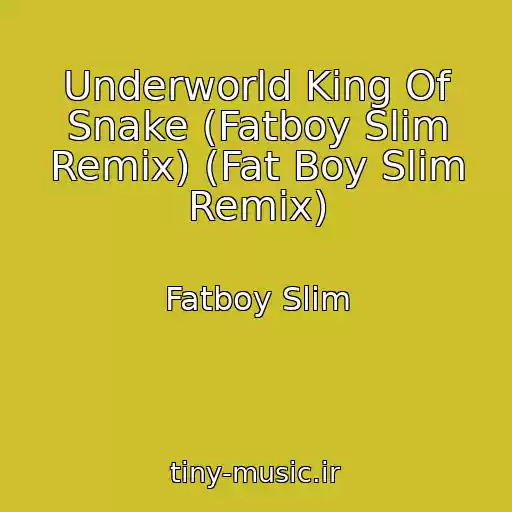 کاور آهنگ Underworld King Of Snake (Fatboy Slim Remix) (Fat Boy Slim Remix) از Fatboy Slim