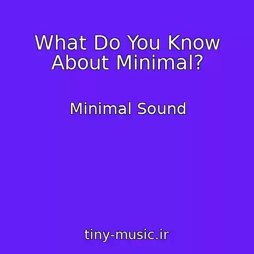 کاور آهنگ What Do You Know About Minimal? از Minimal Sound