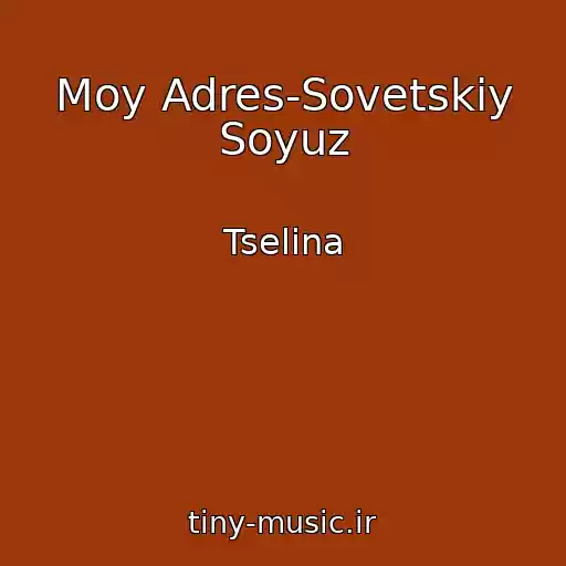 کاور آهنگ Moy Adres-Sovetskiy Soyuz از Tselina
