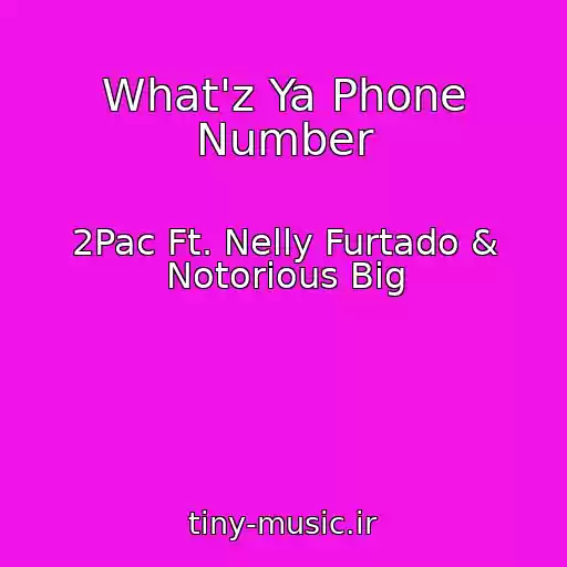 کاور آهنگ What'z Ya Phone Number از 2Pac Ft. Nelly Furtado & Notorious Big