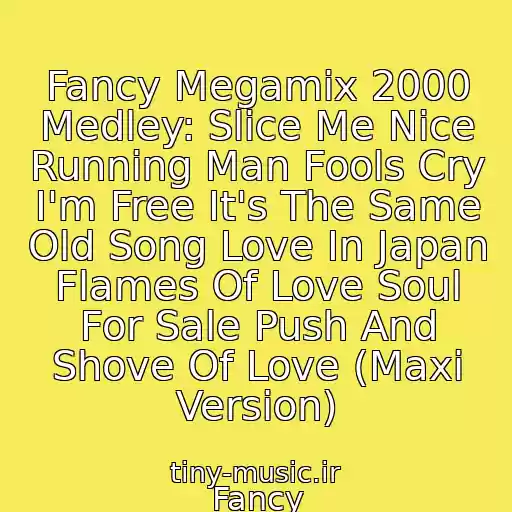 کاور آهنگ Fancy Megamix 2000 Medley: Slice Me Nice Running Man Fools Cry I'm Free It's The Same Old Song Love In Japan Flames Of Love Soul For Sale Push And Shove Of Love (Maxi Version) از Fancy