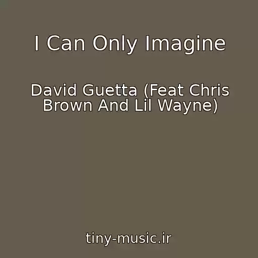 کاور آهنگ I Can Only Imagine از David Guetta (Feat Chris Brown And Lil Wayne)