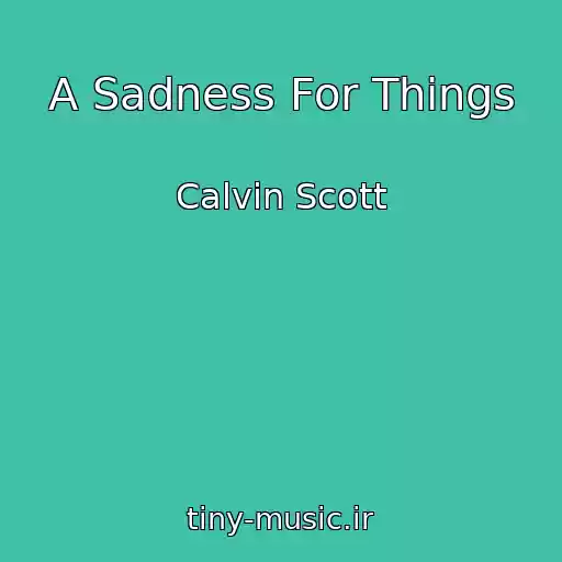کاور آهنگ A Sadness For Things از Calvin Scott
