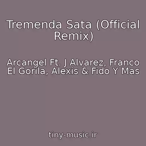 کاور آهنگ Tremenda Sata (Official Remix) از Arcangel Ft. J Alvarez, Franco El Gorila, Alexis & Fido Y Mas