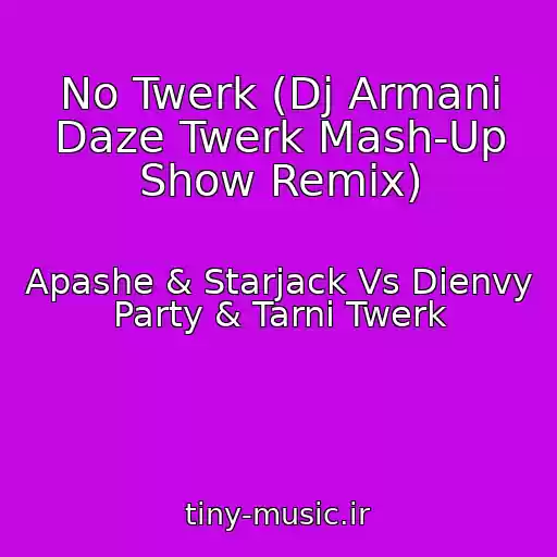 کاور آهنگ No Twerk (Dj Armani Daze Twerk Mash-Up Show Remix) از Apashe & Starjack Vs Dienvy Party & Tarni Twerk