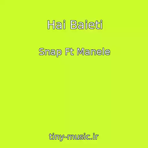 کاور آهنگ Hai Baieti از Snap Ft Manele