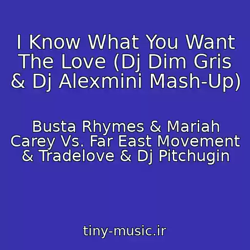 کاور آهنگ I Know What You Want The Love (Dj Dim Gris & Dj Alexmini Mash-Up) از Busta Rhymes & Mariah Carey Vs. Far East Movement & Tradelove & Dj Pitchugin