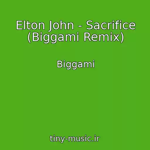 کاور آهنگ Elton John - Sacrifice (Biggami Remix) از Biggami