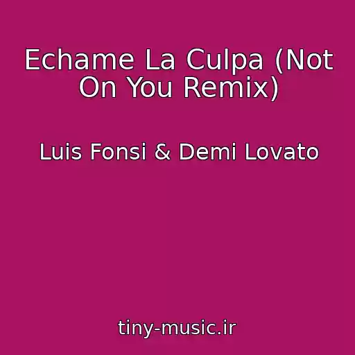 کاور آهنگ Echame La Culpa (Not On You Remix) از Luis Fonsi & Demi Lovato