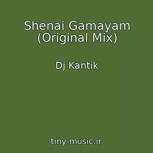 کاور آهنگ Shenai Gamayam (Original Mix) از Dj Kantik