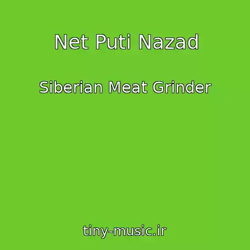 کاور آهنگ Net Puti Nazad از Siberian Meat Grinder