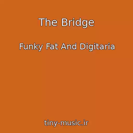 کاور آهنگ The Bridge از Funky Fat And Digitaria