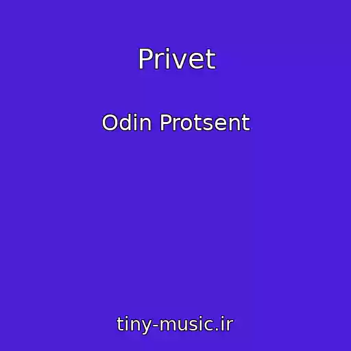 کاور آهنگ Privet از Odin Protsent