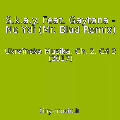 کاور آهنگ S.k.a.y. Feat. Gaytana - Ne Ydi (Mr. Blad Remix) از Ukraїnska Muzika. Ch. 2. Cd 2 (2017)
