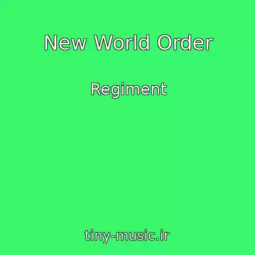 کاور آهنگ New World Order از Regiment