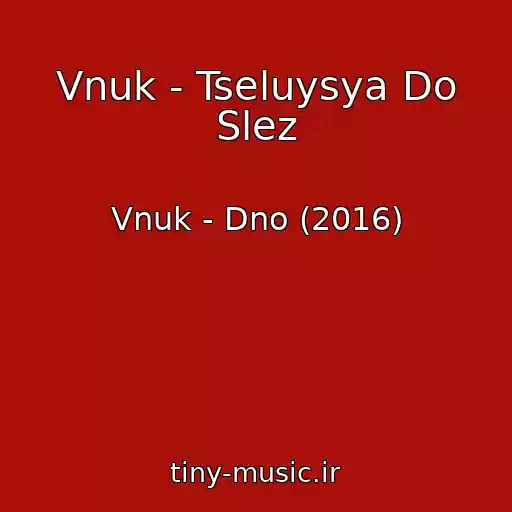 کاور آهنگ Vnuk - Tseluysya Do Slez از Vnuk - Dno (2016)