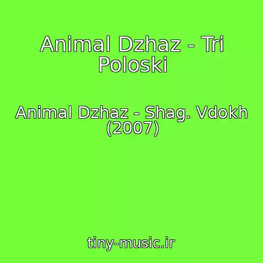 کاور آهنگ Animal Dzhaz - Tri Poloski از Animal Dzhaz - Shag. Vdokh (2007)