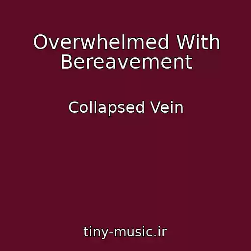 کاور آهنگ Overwhelmed With Bereavement از Collapsed Vein