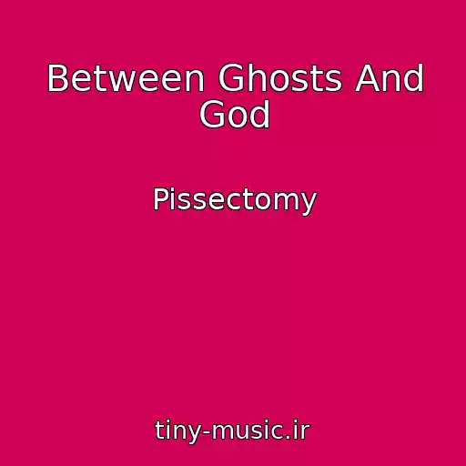 کاور آهنگ Between Ghosts And God از Pissectomy