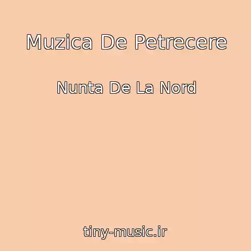 کاور آهنگ Muzica De Petrecere از Nunta De La Nord