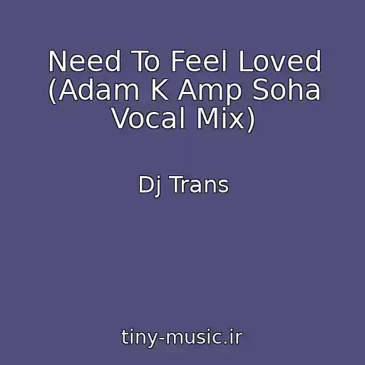 کاور آهنگ Need To Feel Loved (Adam K Amp Soha Vocal Mix) از Dj Trans