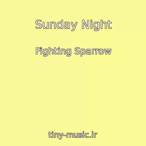 کاور آهنگ Sunday Night از Fighting Sparrow