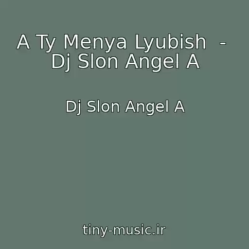کاور آهنگ A Ty Menya Lyubish  -  Dj Slon Angel A از Dj Slon Angel A