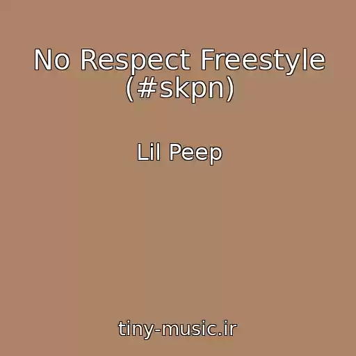 کاور آهنگ No Respect Freestyle (#skpn) از Lil Peep