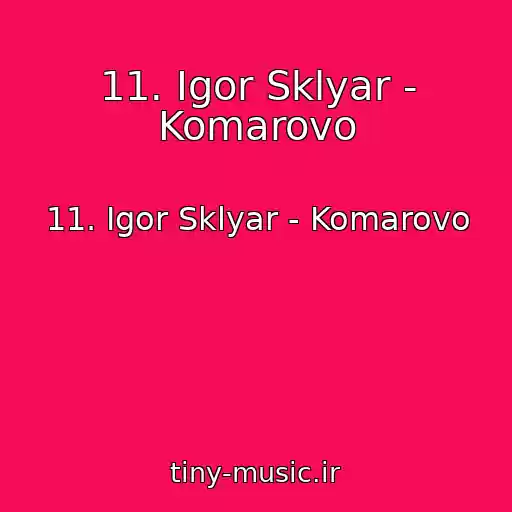کاور آهنگ 11. Igor Sklyar - Komarovo از 11. Igor Sklyar - Komarovo