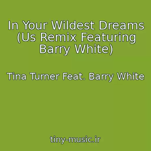 کاور آهنگ In Your Wildest Dreams (Us Remix Featuring Barry White) از Tina Turner Feat. Barry White