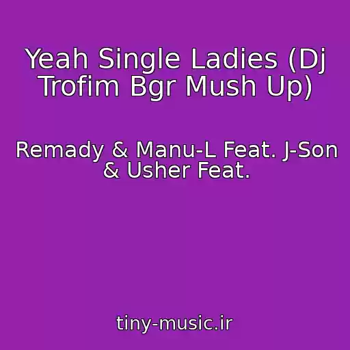 کاور آهنگ Yeah Single Ladies (Dj Trofim Bgr Mush Up) از Remady & Manu-L Feat. J-Son & Usher Feat.