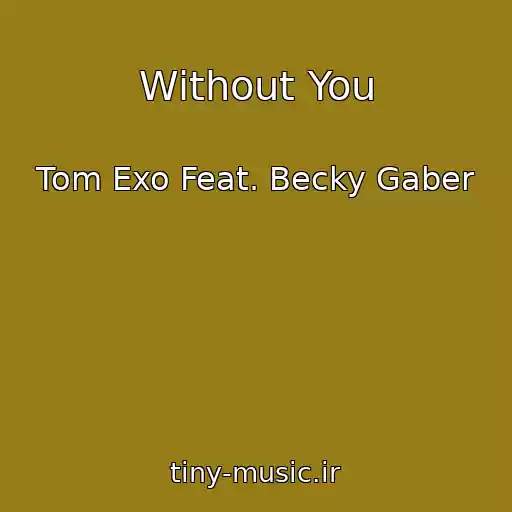 کاور آهنگ Without You از Tom Exo Feat. Becky Gaber