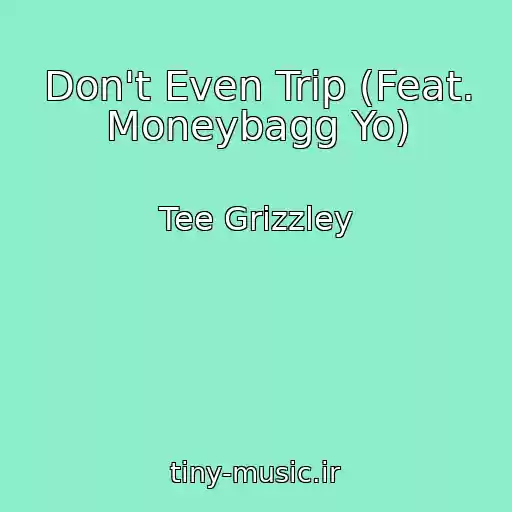 کاور آهنگ Don't Even Trip (Feat. Moneybagg Yo) از Tee Grizzley