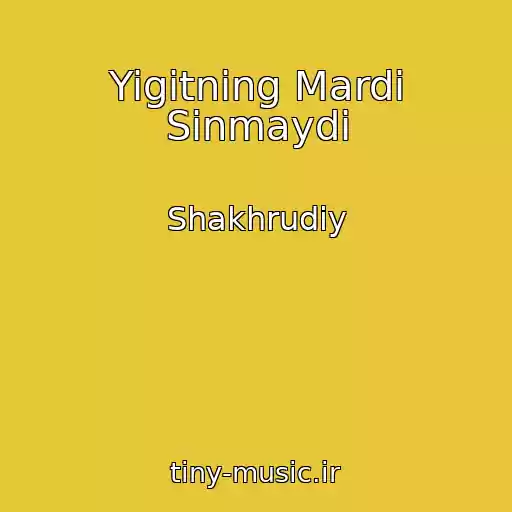 کاور آهنگ Yigitning Mardi Sinmaydi از Shakhrudiy