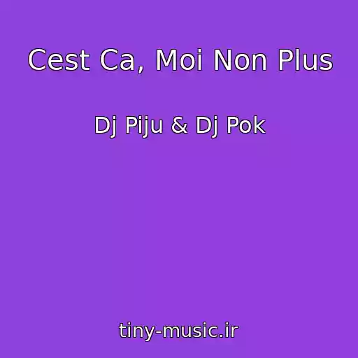 کاور آهنگ Cest Ca, Moi Non Plus از Dj Piju & Dj Pok