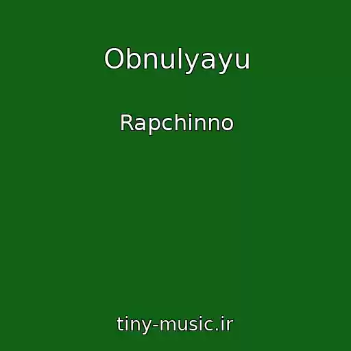 کاور آهنگ Obnulyayu از Rapchinno