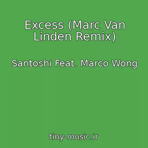 کاور آهنگ Excess (Marc Van Linden Remix) از Santoshi Feat. Marco Wong