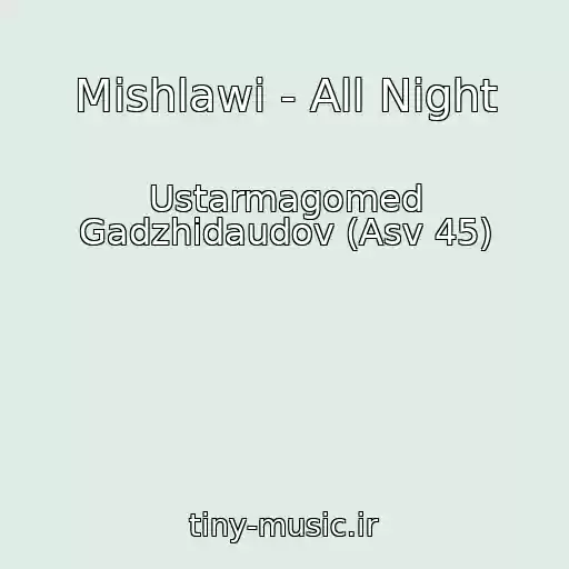 کاور آهنگ Mishlawi - All Night از Ustarmagomed Gadzhidaudov (Asv 45)