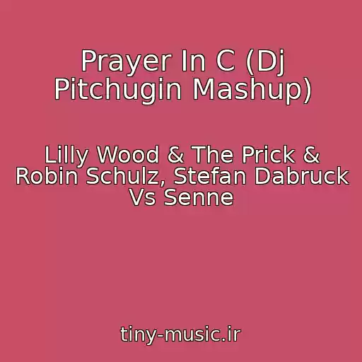 کاور آهنگ Prayer In C (Dj Pitchugin Mashup) از Lilly Wood & The Prick & Robin Schulz, Stefan Dabruck Vs Senne