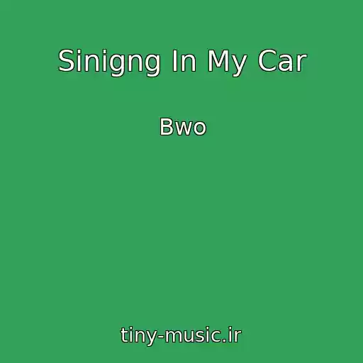 کاور آهنگ Sinigng In My Car از Bwo