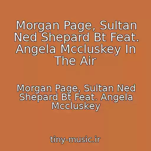 کاور آهنگ Morgan Page, Sultan Ned Shepard Bt Feat. Angela Mccluskey In The Air از Morgan Page, Sultan Ned Shepard Bt Feat. Angela Mccluskey