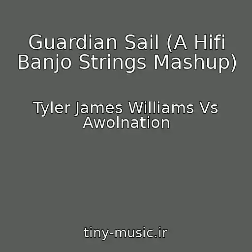 کاور آهنگ Guardian Sail (A Hifi Banjo Strings Mashup) از Tyler James Williams Vs Awolnation