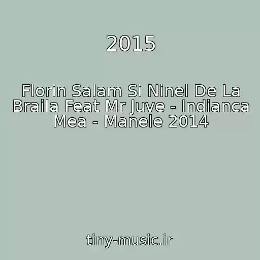 کاور آهنگ 2015 از Florin Salam Si Ninel De La Braila Feat Mr Juve - Indianca Mea - Manele 2014