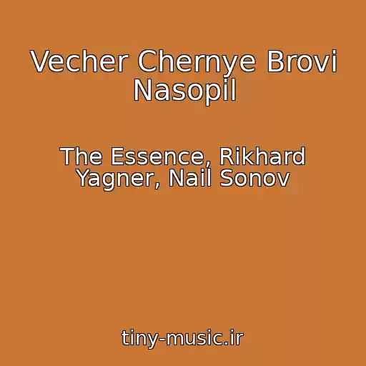 کاور آهنگ Vecher Chernye Brovi Nasopil از The Essence, Rikhard Yagner, Nail Sonov